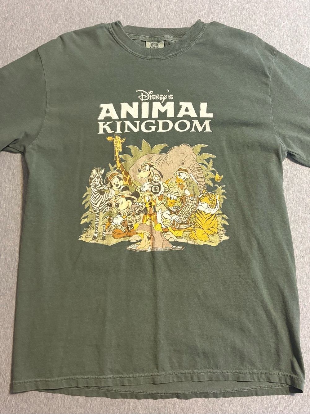 Disney’s Animal Kingdom Comfort Colors T Shirt